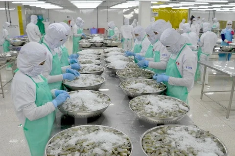 Chế biến thủy sản xuất khẩu tại Công ty thủy sản Trung Sơn. (Ảnh: Bùi Như Trường Giang/TTXVN)