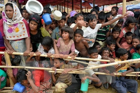 Người tị nạn Rohingya xếp hàng chờ nhận lương thực cứu trợ tại trại tị nạn Thaingkhali ở Ukhia, Bangladesh. (Nguồn: AFP/TTXVN)