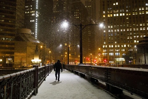 Tuyết rơi ở Chicago. (Nguồn: Chicago Tribune)