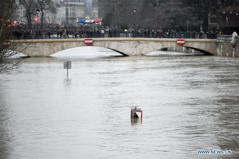 Nước sông Seine dâng cao. (Nguồn: Xinhua)