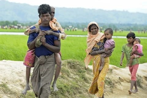 Người tị nạn Rohingya chạy trốn xung đột từ Myanmar tới khu vực Palongkhali, Ukhia, Bangladesh. (Nguồn: AFP/TTXVN)