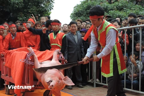 Tổ chức Động vật Châu Á kêu gọi chấm dứt lễ hội chém lợn tại Bắc Ninh