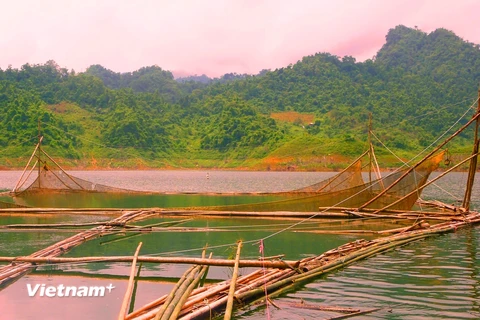 Tận diệt thủy sản không thương tiếc ở hồ thủy điện Tuyên Quang