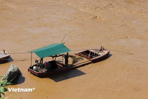 Hoạt động khai thác cát trái phép diễn ra công khai tại huyện Sông Mã, tỉnh Sơn La. (Ảnh: Hùng Võ/Vietnam+)