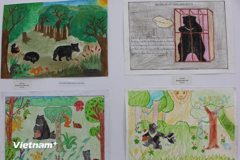 Những bức tranh ấn tượng của các em học sinh tham dự cuộc thi vẽ tranh bảo vệ gấu. (Ảnh: H.V/Vietnam+)