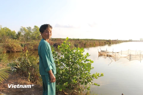 Nhiều người dân huyện Giá Rai, tỉnh Bạc Liêu "bỏ lúa," chuyển sang nuôi tôm. (Ảnh: Hùng Võ/Vietnam+)