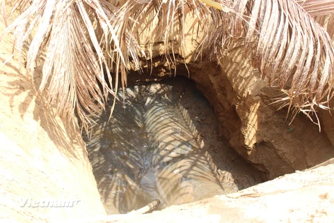 Người dân huyện Ba Tri, tỉnh Bến Tre không còn cách nào khác là phải đào những cái giếng cỡ lớn để vét nước ngầm. (Ảnh: Hùng Võ/Vietnam+)