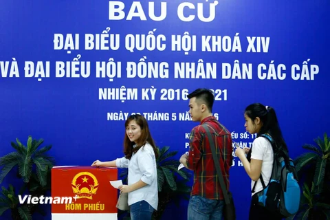 Sinh viên Trường Đại học Khoa học, Xã hội và Nhân văn tham gia bầu cử. (Ảnh: Minh Chiến/Vietnam+)