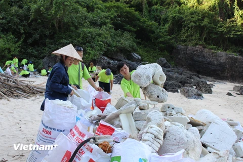 Tình nguyện viên thu gom rác, phao xốp tại một số hòn đảo thuộc Vịnh Hạ Long. (Ảnh: Hùng Võ/Vietnam+) 
