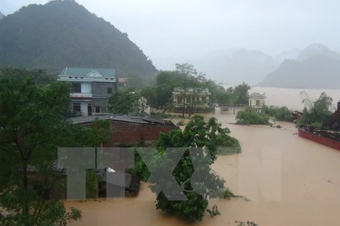 Nhiều nhà dân ở Quảng Bình bị nhấn chìm trong biển nước do mưa lũ. (Ảnh: Đức Thọ/TTXVN) 