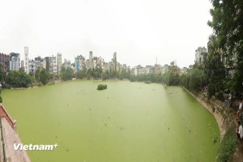 Ô nhiễm tại hồ Văn Chương được ghi nhận trong năm 2015. (Ảnh: CTV/Vietnam+)