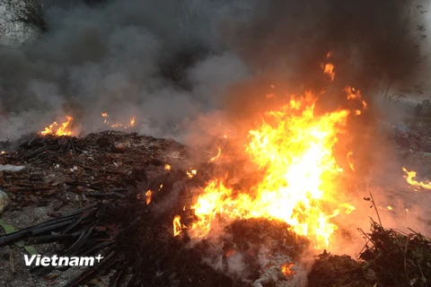 Bãi rác thải tại thôn Quan Độ, xã văn Môn, huyện Yên Phong, tỉnh Bắc Ninh bùng cháy dữ dội trong đêm 9/3/2017. (Ảnh: N.V/Vietnam+)