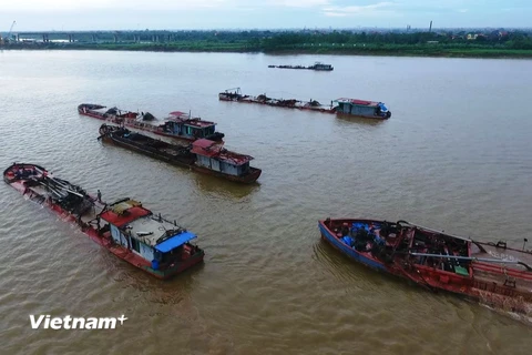 Hoạt động khai thác cát trên sông Hồng, đoạn qua địa phận xã Tân Hưng, thành phố Hưng Yên. (Ảnh: M.M/Vietnam+)