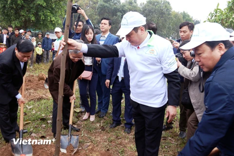 Các đại biểu trồng cây phát động "Tết trồng cây đời đời nhớ ơn Bác Hồ" Xuân Mậu Tuất 2018. (Ảnh: M.M/Vietnam+)