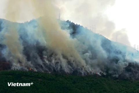 Một vụ cháy rừng xảy ra trong năm 2018 tại tỉnh Thừa Thiên Huế. (Nguồn ảnh: Vietnam+)