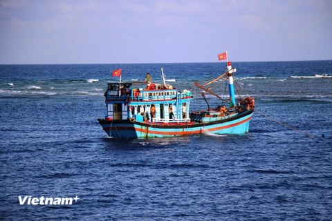 Tàu thuyền đánh bắt cá của ngư dân neo đậu tại khu vực Đảo Thuyền Chài B. (Ảnh: H.V/Vietnam+)