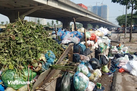 Một điểm tập kết rác tạm thời trên đường Nguyễn Xiển trong những ngày đầu tháng Bảy, khi bãi rác lớn nhất thành phố ở Sóc Sơn đang bị "thất thủ". (Ảnh: P.V/Vietnam+)