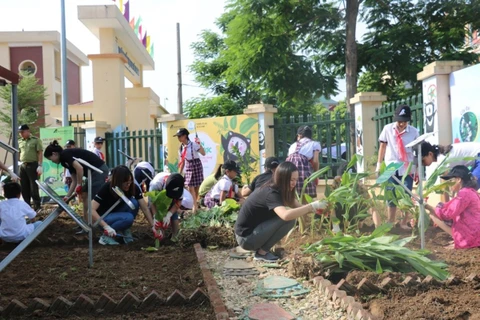 Học sinh Trường tiểu học Hai Bà Trưng trồng cây thảo dược thay mật gấu. (Ảnh: TCĐVCA cung cấp)