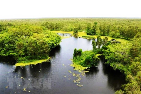 Một góc Vườn quốc gia U Minh Thượng. (Ảnh minh họa. Nguồn: TTXVN)