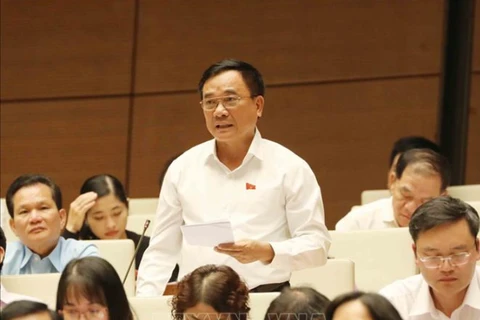 Đại biểu Mai Sỹ Diến (Đoàn đại biểu Quốc hội tỉnh Thanh Hóa) phát biểu. (Nguồn ảnh: TTXVN)