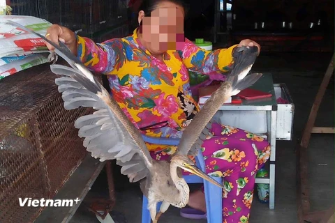 Hoạt động buôn bán động vật hoang dã diễn ra khá công khai tại nhiều khu chợ ở các tỉnh miền Tây. (Ảnh: H.C/Vietnam+)