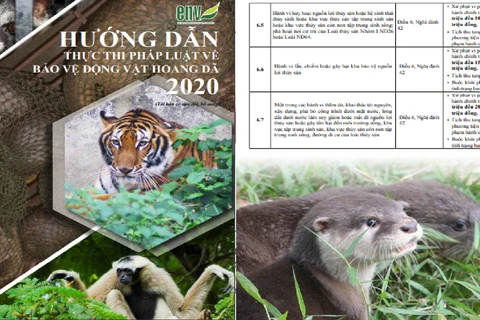 Hướng dẫn thực thi pháp luật về bảo vệ động vật hoang dã 2020. (Nguồn: ENV)