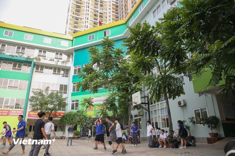 Những cây xanh góp phần tạo cảnh quan, bóng mát reong khuôn viên trường Trung học cơ sở và Trung học phổ thông Lê Quý Đôn, Hà Nội. (Ảnh: Hùng Võ/Vietnam+)