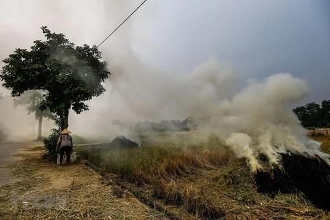 ốt rơm rạ gây khói mù tại khu vực các xã huyện Quốc Oai. (Ảnh: Trọng Đạt/TTXVN)