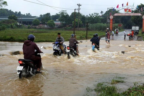 Ảnh chỉ có tính chất minh họa. (Ảnh: Quốc Khánh/TTXVN)