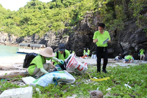 Các nhóm tình nguyện viên chung tay dọn rác trên các đảo Vịnh Hạ Long. (Ảnh: Hùng Võ/Vietnam+)