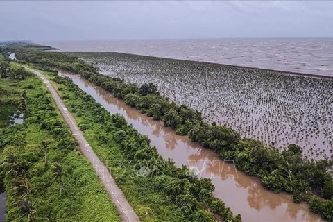 Xâm thực biển, sạt lở sông đe dọa nghiêm trọng Đồng bằng sông Cửu Long. (Ảnh: Trọng Đạt/TTXVN)
