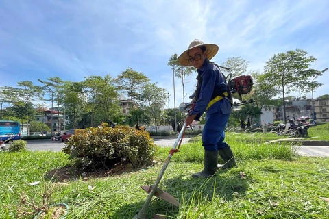 Nhân viên cây xanh Hà Nội đang căng mình làm việc dưới tiết trời nắng nóng gay gắt. (ảnh chụp sáng ngày 21/6/2021). (Ảnh: Minh Hiếu/Vietnam+)