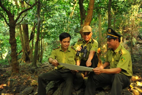 Các cán bộ Kiểm lâm Vườn quốc gia Cúc Phương tuần tra bảo vệ rừng. (Ảnh: Minh Đức/TTXVN)