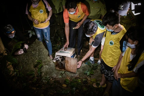 Đêm Trung thu đặc biệt ở Cúc Phương: Thả động vật hoang dã ‘về nhà’