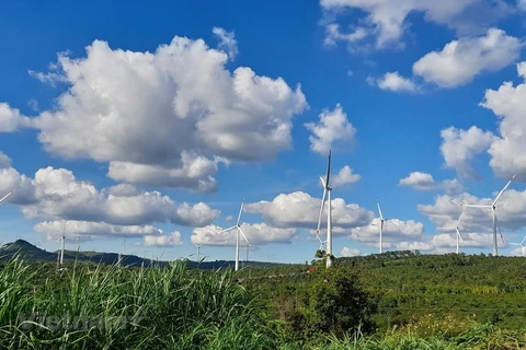 Phát triển năng lượng tái tạo (điện gió) theo hướng bền vững. (Nguồn ảnh: Hùng Võ/Vietnam+)
