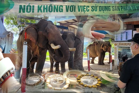 Sản phẩm chế tác từ ngà voi được bày bán công khai, bất chấp các khẩu hiệu chống lại việc này. (Ảnh: Hùng Võ/Vietnam+)