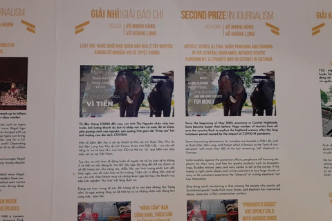 Loạt bài phóng sự điều tra “Nhức nhối nạn buôn bán ngà ở Tây Nguyên: Không xử lý nghiêm, voi sẽ tuyệt chủng” được trưng bày tại lễ trao giải. (Ảnh: PV/Vietnam+)