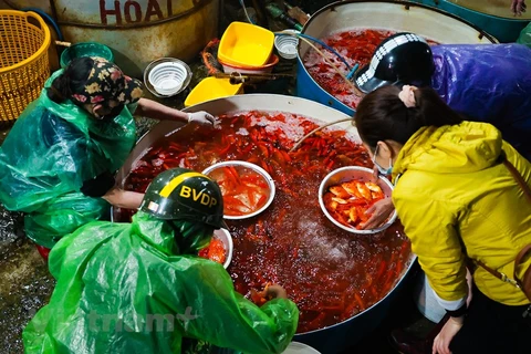 Cá chép được bày bán tại chợ cá Yên Sở, thành phố Hà Nội. (Minh Hiếu/Vietnam+)