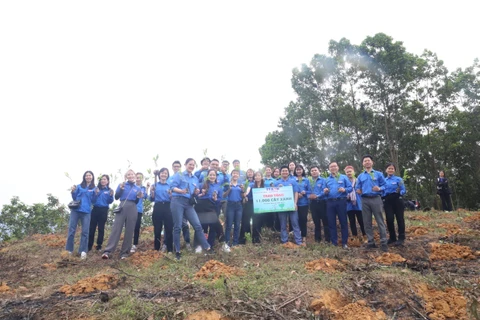 Đoàn Thanh niên Thông tấn xã Việt Nam phối hợp với Tỉnh đoàn Hòa Bình trồng cây tại xã Phú Nghĩa. (Ảnh: PV/Vietnam+)