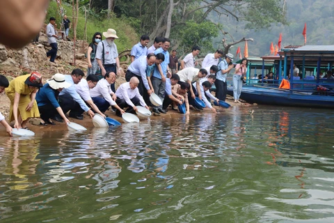 Các đại biểu tham gia thả cá giống tại hồ Ba Bể, tỉnh Bắc Kạn. (Ảnh: Hùng Võ/Vietnam+) 