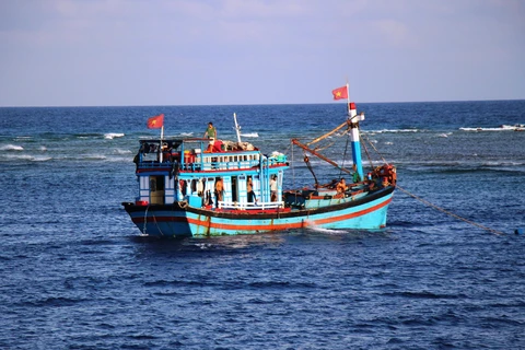 Ảnh minh họa. (Nguồn: Hùng Võ/Vietnam+)