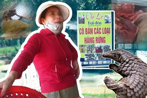 Mánh khóe, luật ngầm và độc quyền tuồn lậu động vật hoang dã. (Video: PV/Vietnam+)