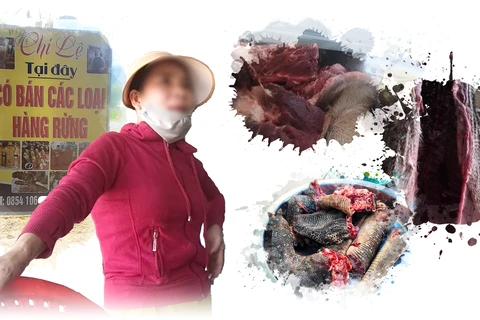 Hoạt động buôn bán trái phép động vật hoang dã diễn ra phức tạp tại huyện Hướng Hóa, tỉnh Quảng Trị. (Nguồn: Vietnam+)