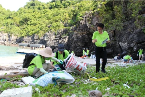 Các nhóm tình nguyện viên chung tay dọn rác trên các đảo Vịnh Hạ Long. (Ảnh: Hùng Võ/Vietnam+) 