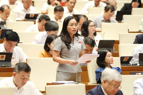 Đại biểu Quốc hội tỉnh Bắc Kạn Hồ Thị Kim Ngân. (Nguồn: TTXVN)