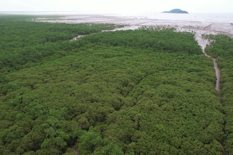 Hành động vì tương lai xanh. (Ảnh: Hùng Võ/Vietnam+)