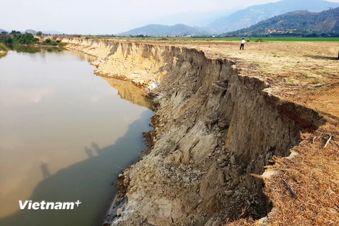 (Ảnh minh họa. Nguồn: Vietnam+)