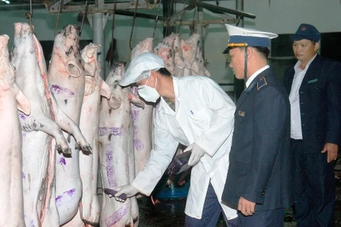Lực lượng thú y kiểm tra an toàn vệ sinh thực phẩm tại các cơ sở giết mổ. (Ảnh: Đình Huệ/TTXVN)