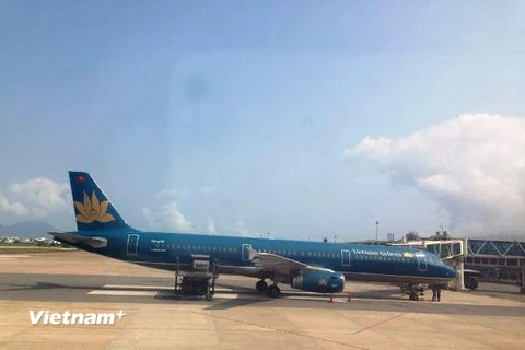 Máy bay của Vietnam Airlines. (Ảnh: Việt Hùng/Vietnam+)