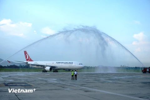 Máy bay của hãng hàng không quốc gia Thổ Nhĩ Kỳ Turkish Airlines hạ cánh xuống sân bay Nội Bài. (Ảnh: Việt Hùng/Vietnam+)